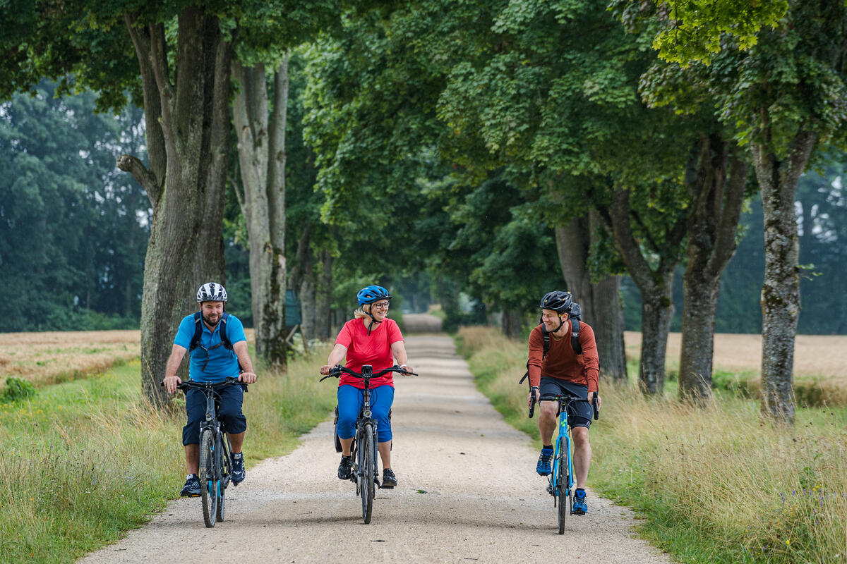 Titelbild_Startseite_Radfahrer