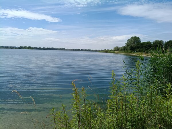 Bild vergr&ouml;&szlig;ern: DMK Weiher