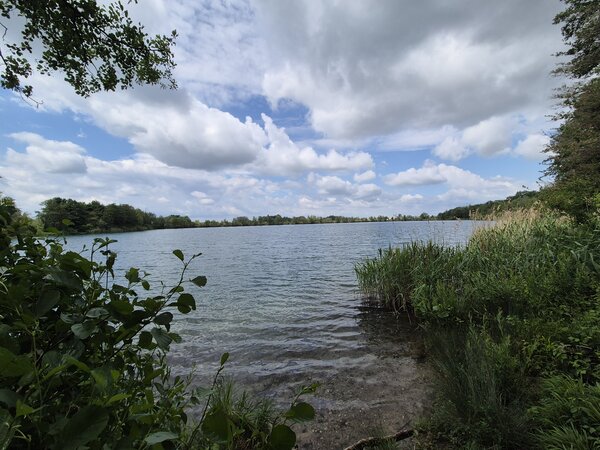 Bild vergr&ouml;&szlig;ern: Schimmerweiher Neuburg