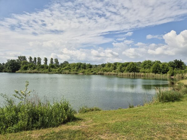 Bild vergr&ouml;&szlig;ern: Schulzweiher Bergheim