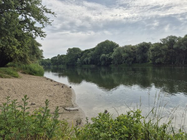 Bild vergr&ouml;&szlig;ern: Donau an der Schl&ouml;&szlig;lwiese