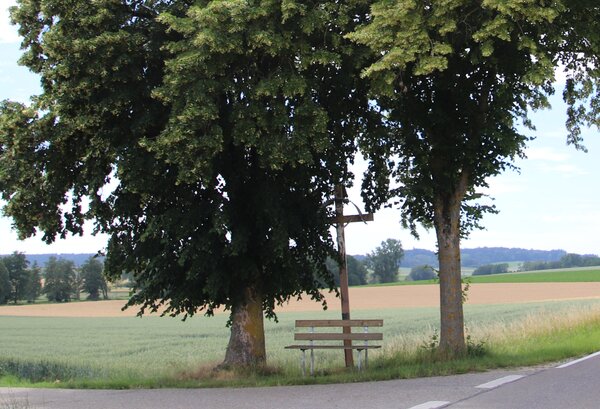 Bild vergr&ouml;&szlig;ern: Schattiger Sitzplatz zwischen Klingsmoos und Sinning