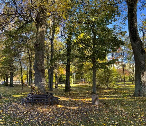 Bild vergr&ouml;&szlig;ern: Rastplatz Englischer Garten